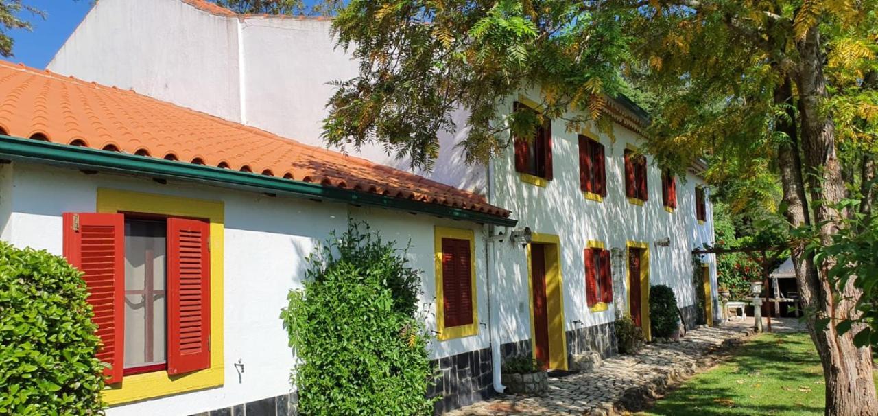 Quinta Flores Феррейра-ду-Зезере Екстер'єр фото